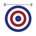 Beste Hatsan luchtbuks Bisley 100 Rood Wit & Blauw 17cm (6.75") Kaart Luchtbuks Doelen Luchtgeweer Pistool Jacht Praktijk Nul