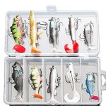 Beste kunstaas voor baars DONQL Set met zacht lokaas voor vissen, set met aas voor vissen in zoet water op forel, baars, zalm, inclusief draaiend aas, aas van silicone met doos (10 stuks)