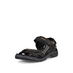 Beste sandalen heren ECCO Herren Offroad Sandalen, Black Mole Black, 43 EU